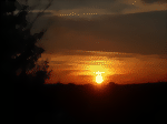 30.012015-1092-medium-2.gif