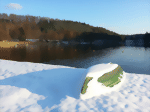 30.012015-281-medium.gif