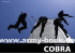 cobra-gollner-makus-medium.gif